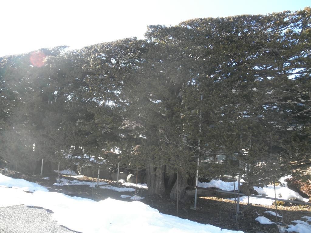 Haranoya Hotel Oshino Bagian luar foto